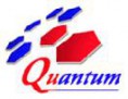 Quantum Enterprise